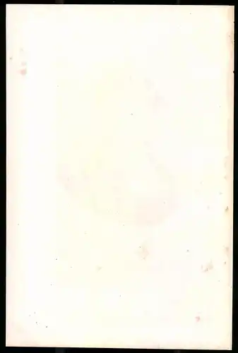 Lithographie Carl Maria von Weber, Lithographie um 1835 aus Saxonia, 28 x 19cm