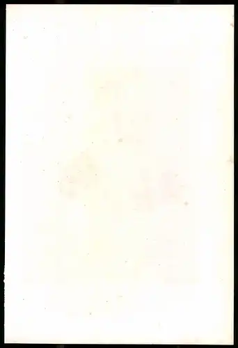 Lithographie Philipp Melanchthon, Lithographie um 1835 aus Saxonia, 28 x 19cm