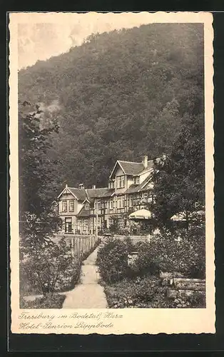 AK Treseburg im Bodetal /Harz, Hotel-Pension Luppbode