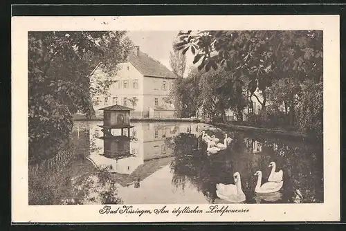 AK Bad Kissingen, Am idyllischen Liebfrauensee