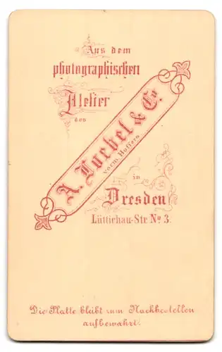 Fotografie A. Zoebel & Co., Dresden, Lüttichaustr. 3, Portrait hübsche Dame im prachtvollen Kleid