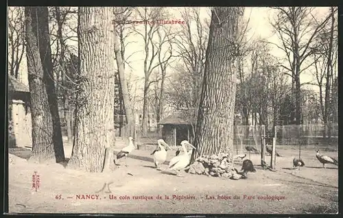 AK Nancy, Un coin rustique de la Pèpinière, Zoo