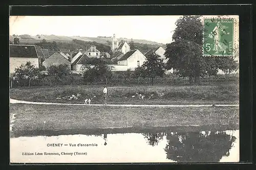 AK Cheney, Vue d`ensemble