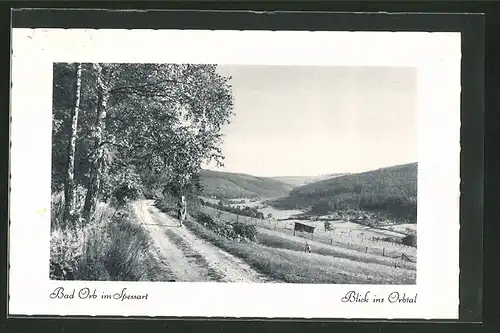 AK Bad Orb / Spessart, Blick ins Orbtal