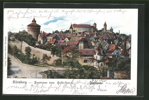AK Nürnberg, Panorama vom Hallerthor