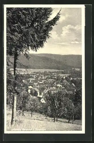 AK Hainstadt / Odenwald, Blick von der Bergwiese auf den Ort