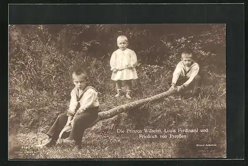 AK Die Prinzen Wilhelm, Louis Ferdinand und Friedrich von Preussen im Wald spielend