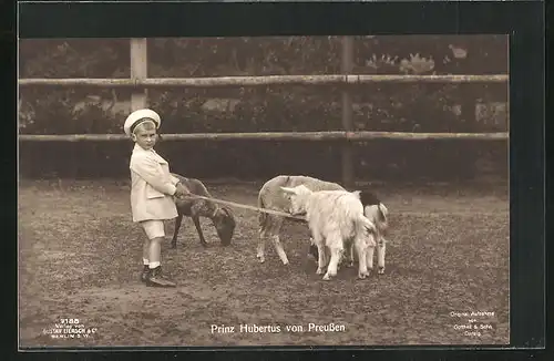 AK Prinz Hubertus mit Ziegen auf der Weide
