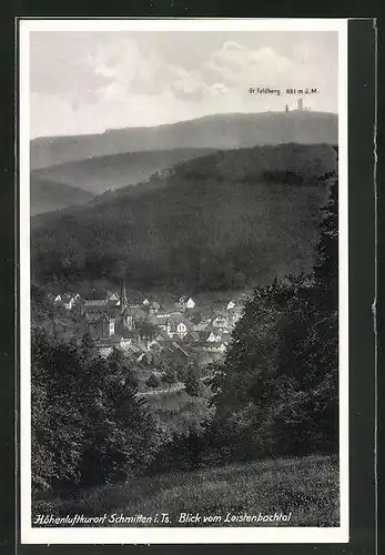 AK Schmitten / Taunus, Panoramablick vom Leistenbachtal