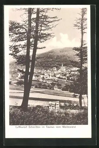 AK Schmitten / Taunus, Panoramablick vom Waldesrand