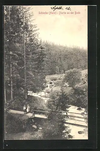 AK Schierke / Harz, Partie an der Bode