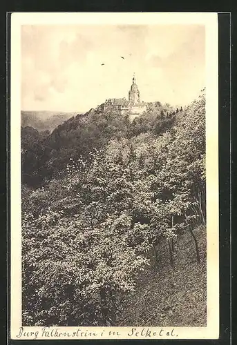 AK Falkenstein / Harz, Burg Falkenstein im Selketal