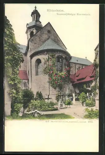 AK Hildesheim, Dom und Tausendjähriger Rosenstock