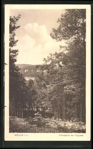 AK Mölln i. L., Villenpartie bei Hegesee