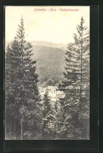 AK Lautenthal i. Harz, Kurhaus Waldschlösschen aus der Vogelschau