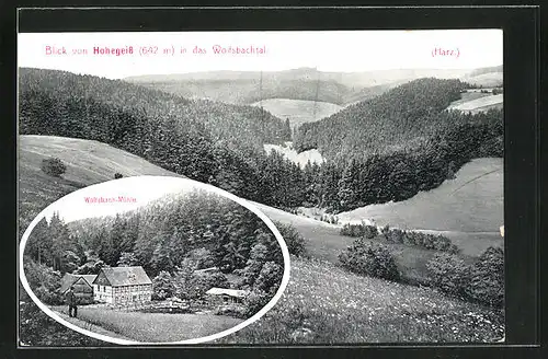 AK Hohegeiss / Harz, Blick in das Wolfsbachtal, Gasthaus Wolfsbach-Mühle