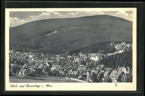 AK Braunlage / Harz, Gesamtansicht