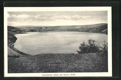 AK Daun /Eifel, Weinfelder Maar