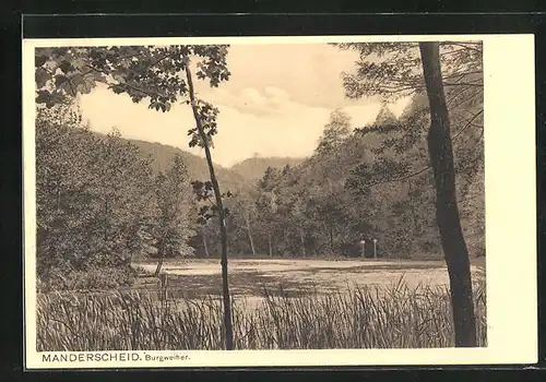 AK Manderscheid /Eifel, Partie beim Burgweiher