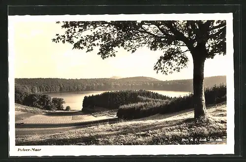 AK Gillenfeld /Eifel, Blick zum Pulver-Maar