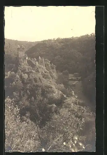 AK Manderscheid /Eifel, Blick zur Niederburg