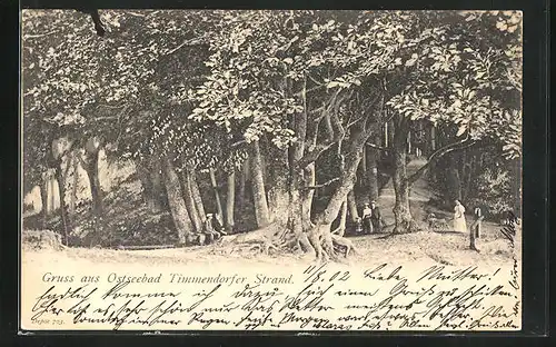 AK Ostseebad Timmendorferstrand, Blick in den Wald