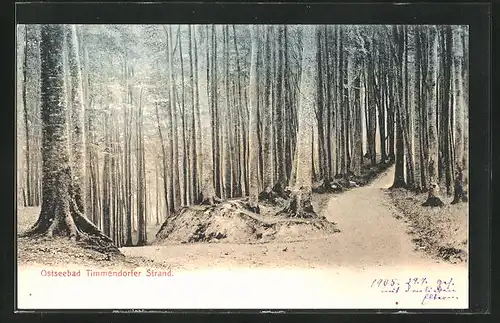 AK Ostseebad Timmendorferstrand, Wege in den Wald