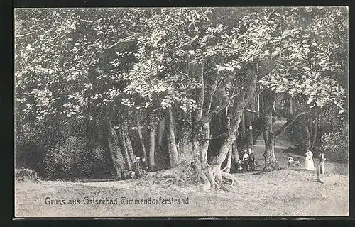AK Ostseebad Timmendorferstrand, Spaziergänger im Wald