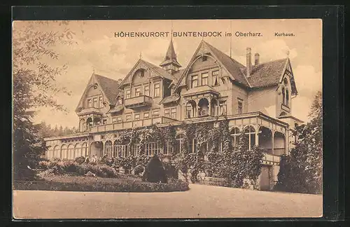 AK Buntenbock im Oberharz, Blick zum Kurhaus