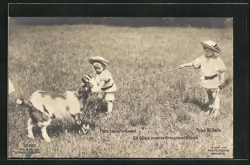 AK Prinz Louis Ferdinand und Prinz Wilhelm von Preussen spielen mit einer Ziege