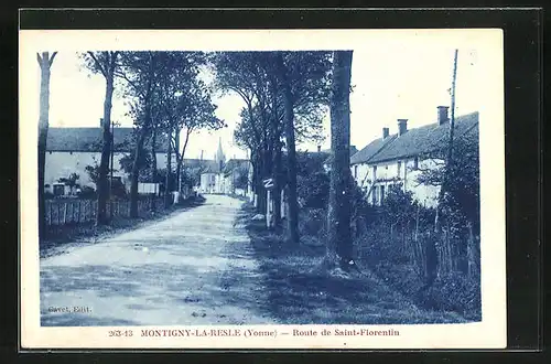 AK Montigny-la-Resle, Route de Saint-Florentin, Strassenpartie