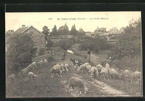 AK Saint-Sauveur, Le Petit Moulin