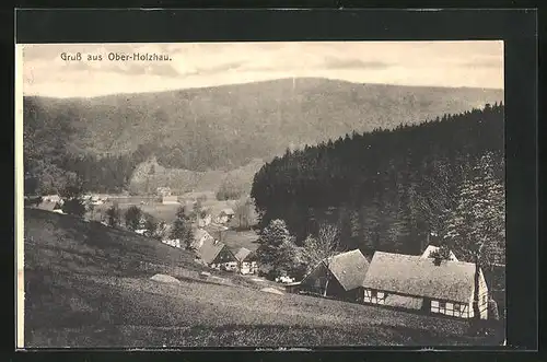 AK Ober-Holzhau, Blick von der Bergwiese