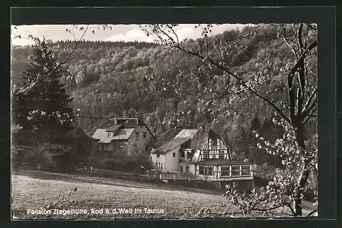 AK Rod a. d. Weil, Pension Ziegelhütte