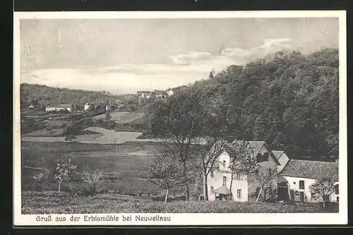 AK Neuweilnau / Taunus, Totale mit Pension Erbismühle
