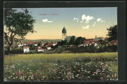 AK Usingen / Taunus, Blick von der Bergwiese auf den Ort