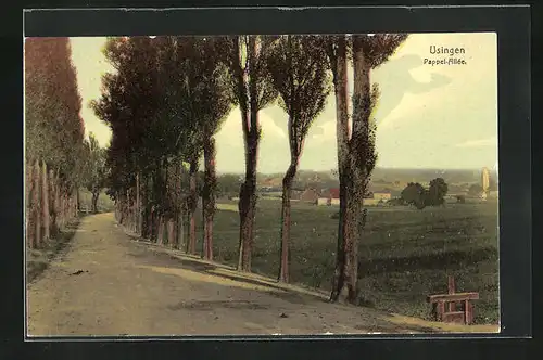 AK Usingen / Taunus, Pappel-Allee