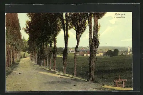 AK Usingen / Taunus, Blick in die Pappel-Allee