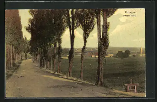 AK Usingen / Taunus, Landschaftsbild mit Pappel-Allee