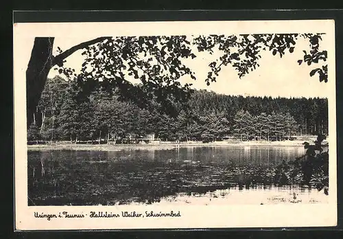 AK Usingen / Taunus, Hattsteins Weiher mit Schwimmbad