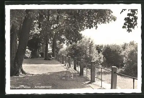 AK Usingen / Taunus, Schlossterrasse