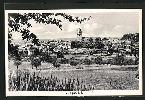 AK Usingen / Taunus, Panoramablick zum Ort