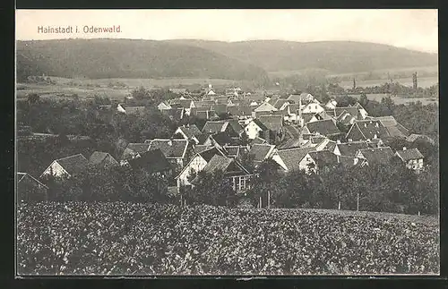 AK Hainstadt / Odenwald, Blick von der Bergwiese auf den Ort