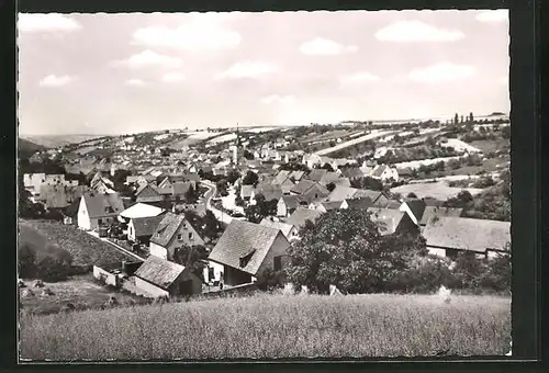 AK Theilheim bei Würzburg, Gesamtansicht mit Kirchturm