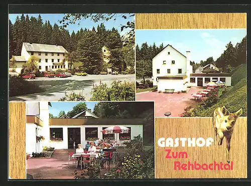 AK Grafengehaig im Frankenwald, Gasthof zum Rehbachtal, Garten
