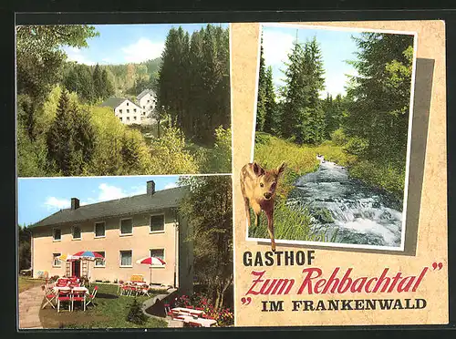 AK Grafengehaig im Frankenwald, Gasthof zum Rehbachtal, Garten, Partie am Bach