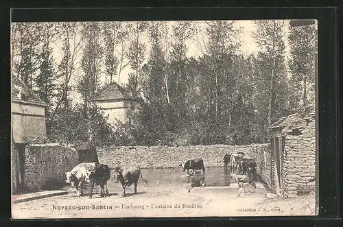 AK Noyers-sur-Serein, Faubourg, Fontaine du Bouillon