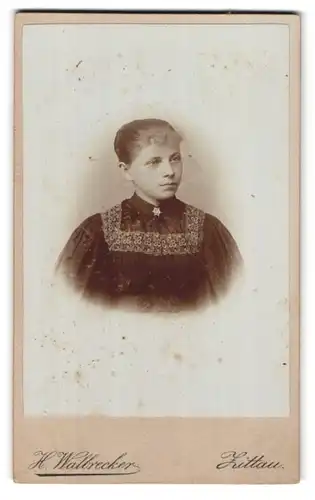 Fotografie H. Walbrecker, Zittau, Breite-Strasse 9, Portrait junge Dame in hübscher Kleidung