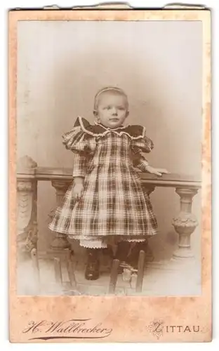 Fotografie H. Wallbrecker, Zittau i /S., Breitestrasse 9, Portrait niedliches Kleinkind im karierten Kleid