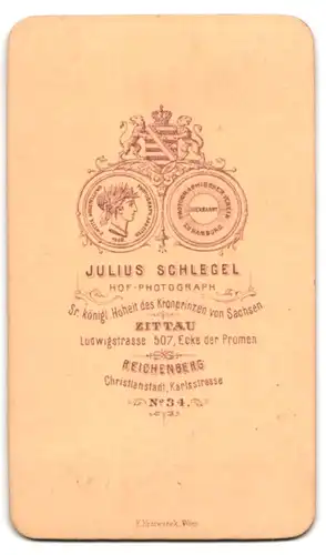 Fotografie Julius Schlegen, Zittau, Ludwigstrasse 507, Portrait niedliches Kleinkind im karierten Kleid